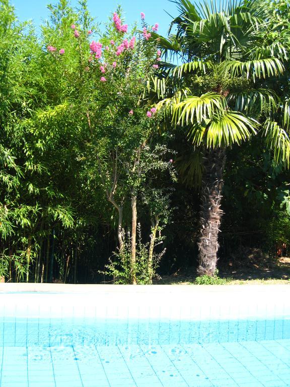 Apartment Apollonio Portorož Szoba fotó